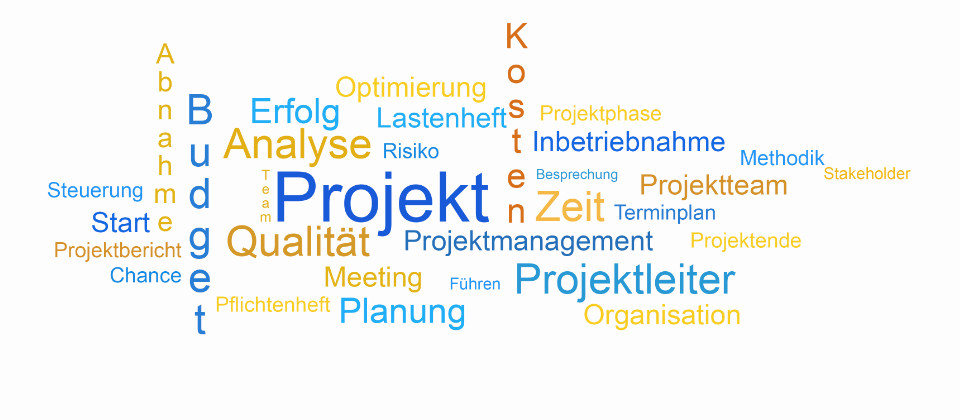 IT Projektleiter